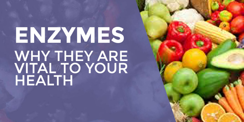 Enzymes – Why They Are Vital To Your Health
