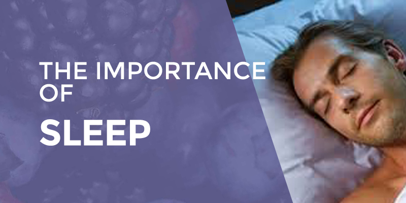 The Importance Of Sleep