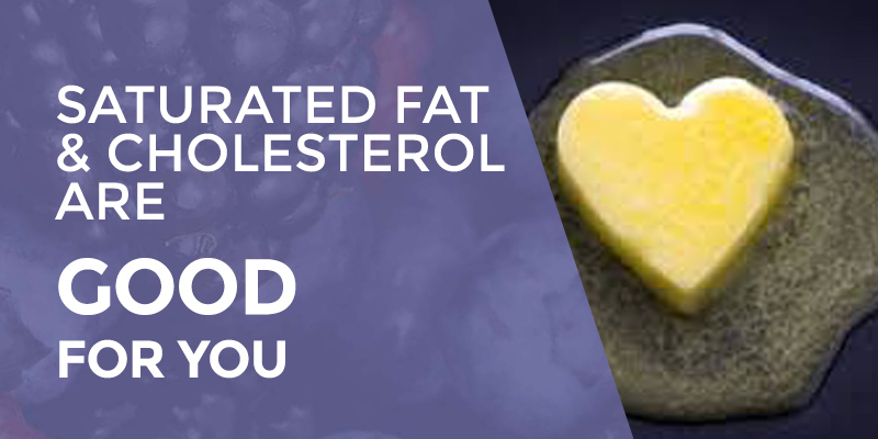 Saturated Fat and Cholesterol are GOOD for You!
