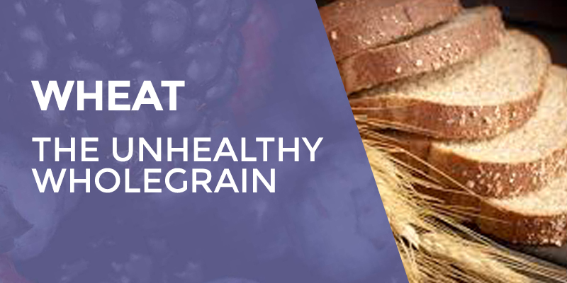 Wheat – The Unhealthy Wholegrain